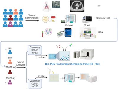 Antigen-specific chemokine profiles as biomarkers for detecting Mycobacterium tuberculosis infection